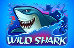 Слот Wild Shark